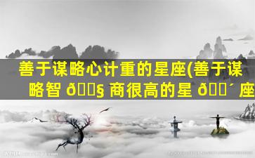 善于谋略心计重的星座(善于谋略智 🐧 商很高的星 🌴 座)